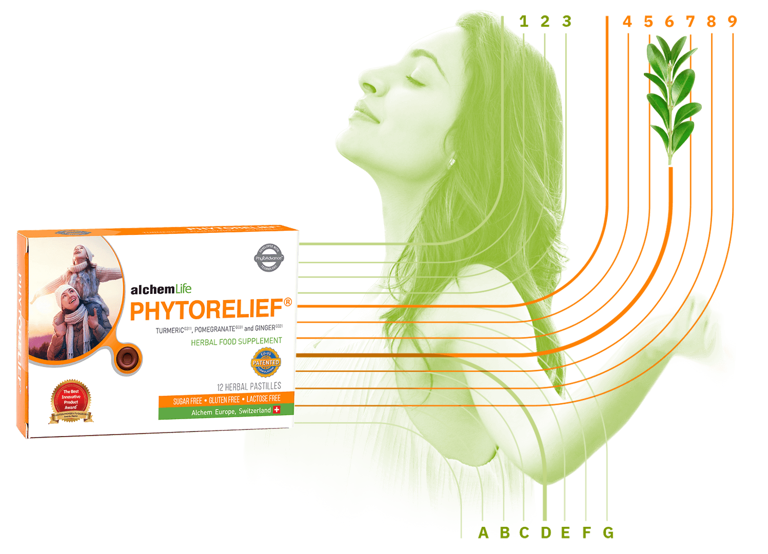 phytorelief