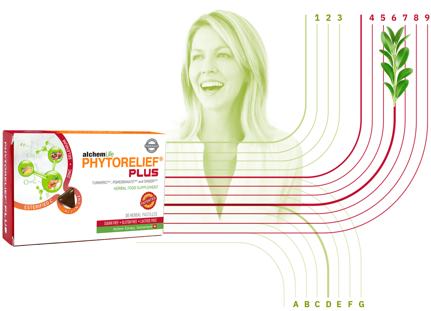 Phytorelief Plus: Bağışıklığı Destekleyici Ödüllü Patentli Bitkise Pastil